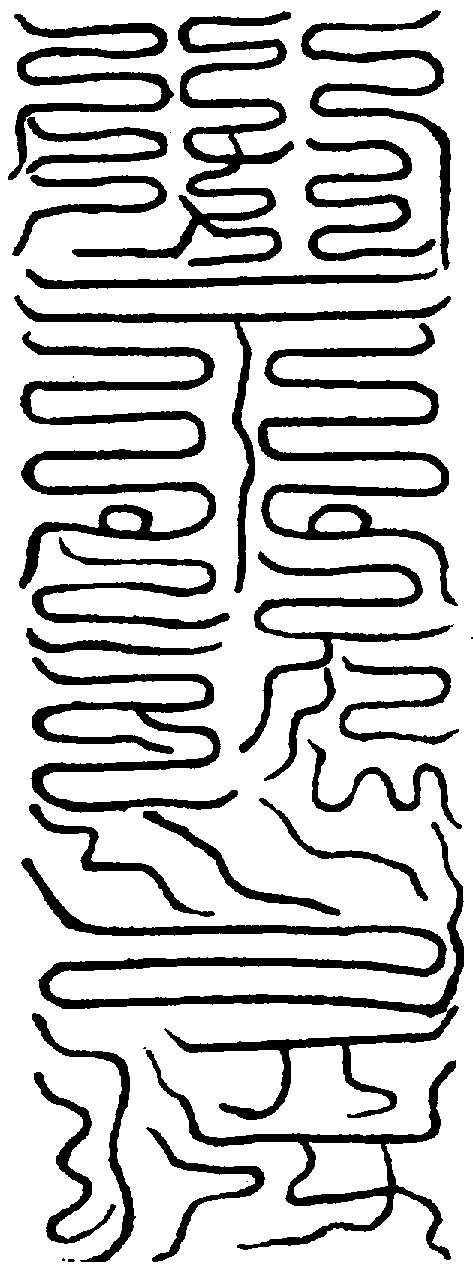 〔圖〕