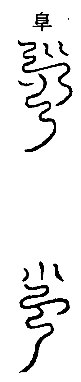 〔圖〕