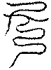 〔圖〕