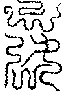 〔圖〕