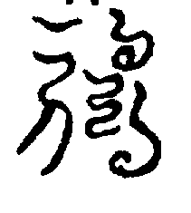 〔圖〕