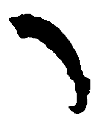 〔圖〕