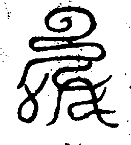 〔圖〕