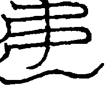 〔圖〕