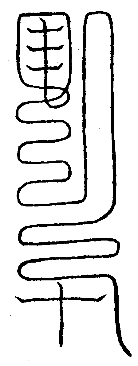 〔圖〕