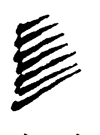 〔圖〕