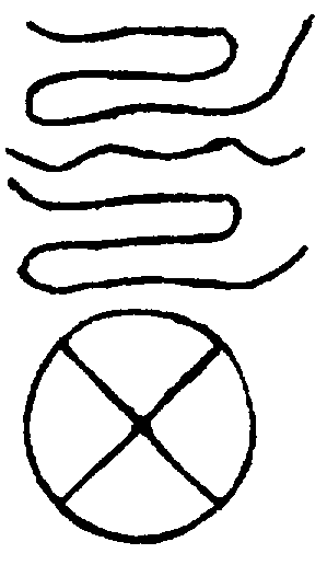 〔圖〕