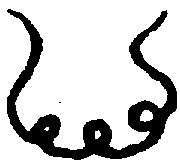 〔圖〕