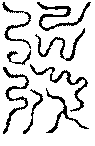 〔圖〕