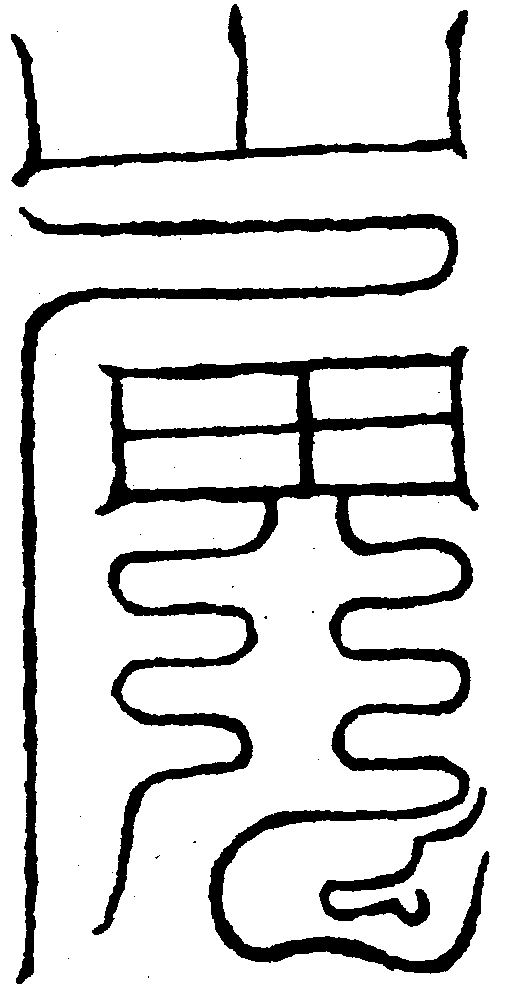 〔圖〕