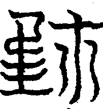 〔圖〕