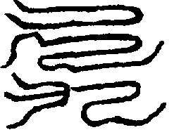 〔圖〕