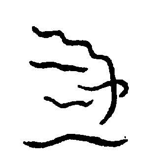 〔圖〕