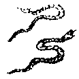 〔圖〕