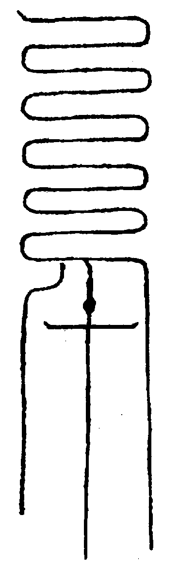 〔圖〕