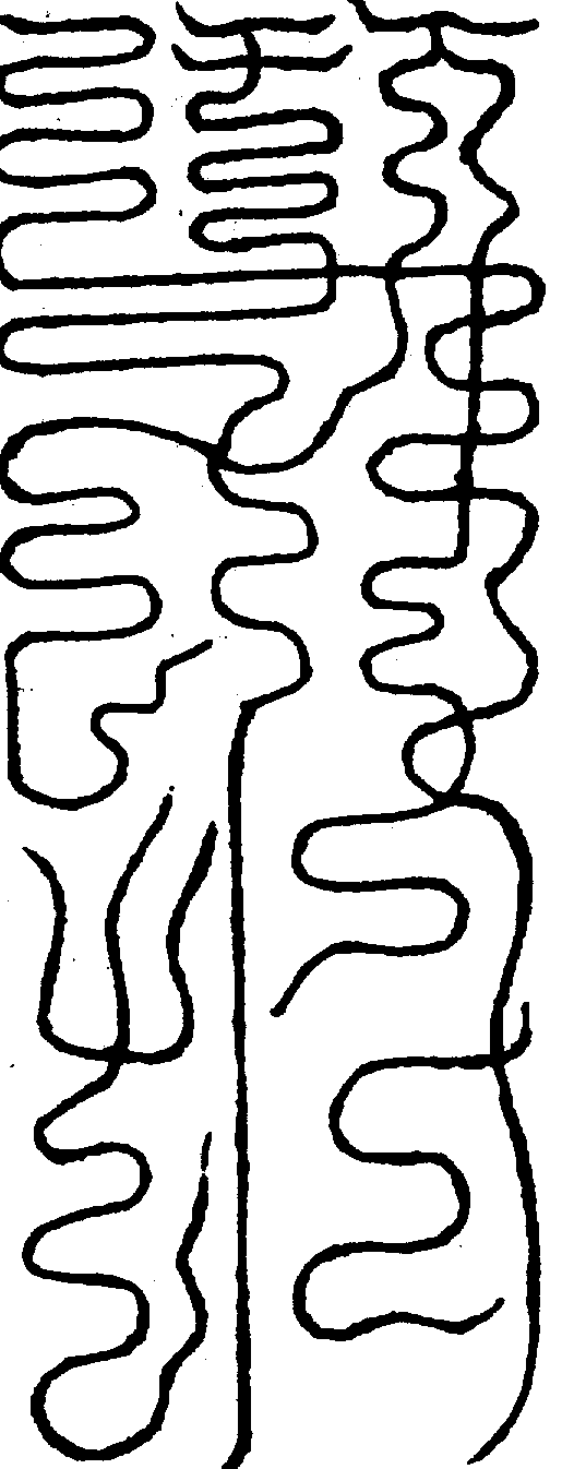 〔圖〕