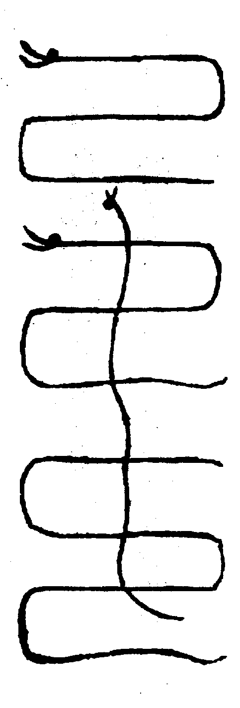 〔圖〕