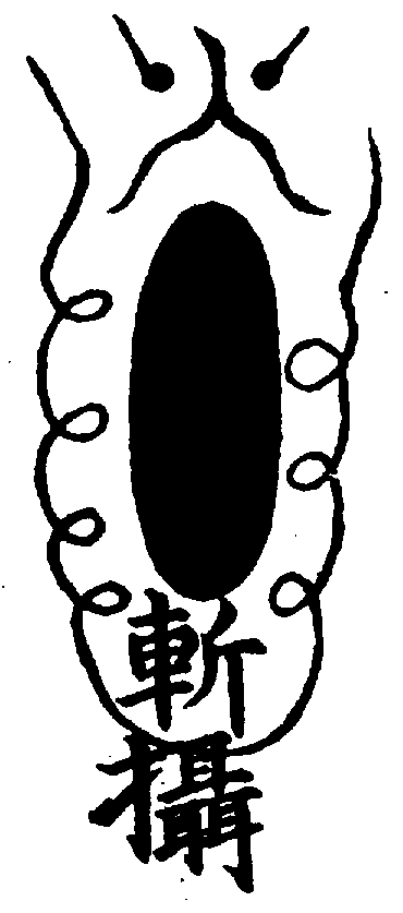 〔圖〕