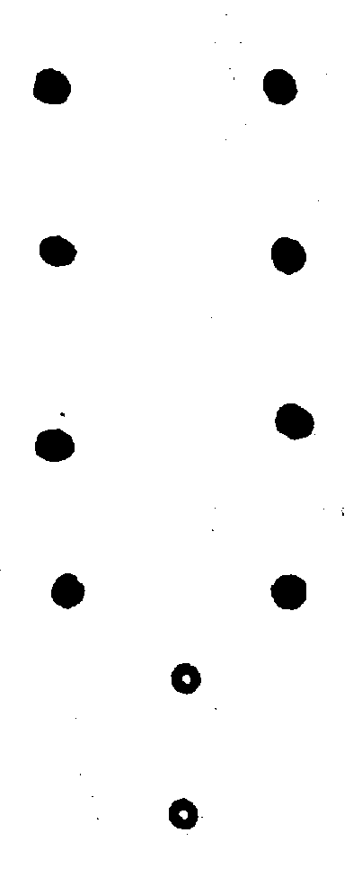 〔圖〕
