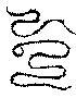 〔圖〕
