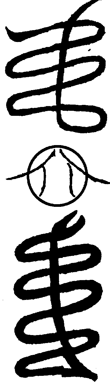 〔圖〕