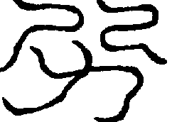 〔圖〕