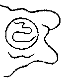 〔圖〕