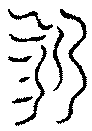 〔圖〕