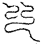 〔圖〕