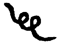 〔圖〕