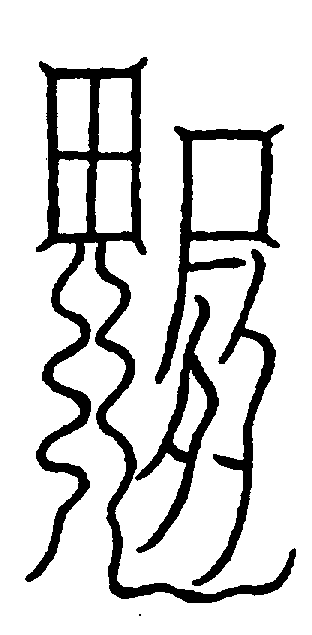 〔圖〕