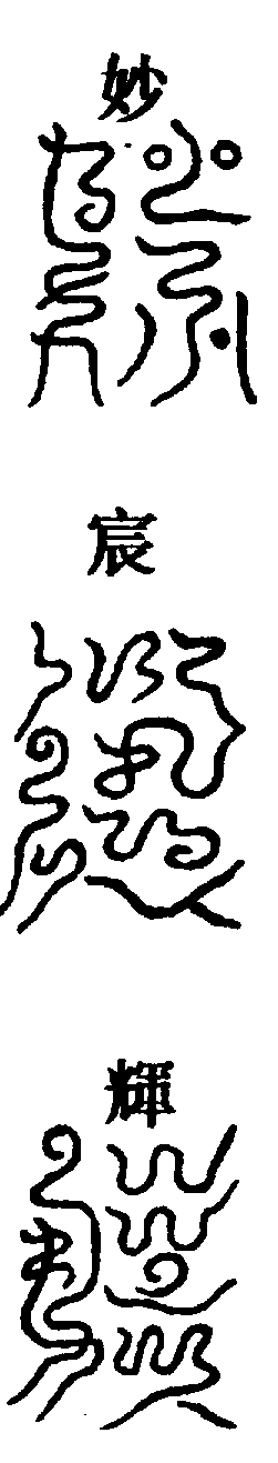 〔圖〕
