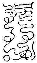 〔圖〕
