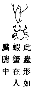 〔圖〕