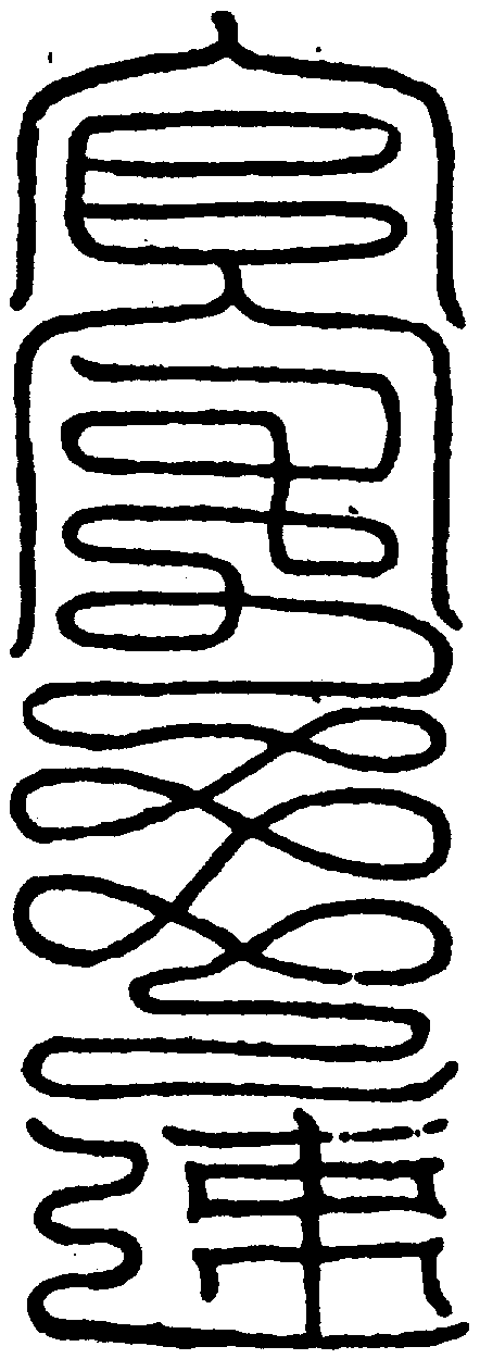 〔圖〕