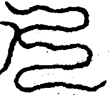 〔圖〕