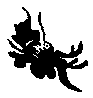 〔圖〕