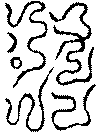 〔圖〕