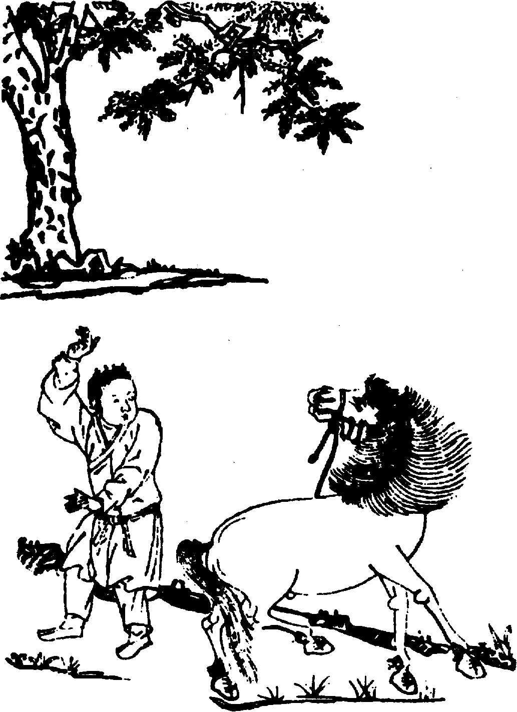 〔圖〕