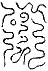 〔圖〕