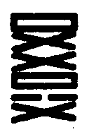 〔圖〕