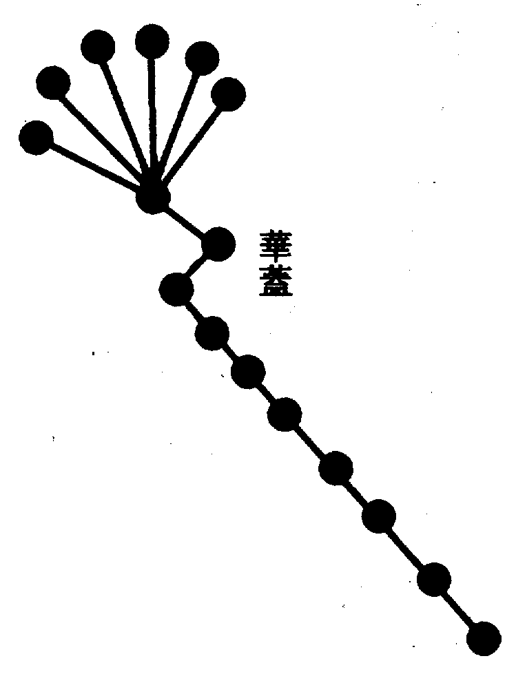 〔圖〕