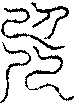 〔圖〕