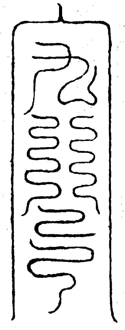 〔圖〕