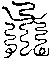 〔圖〕