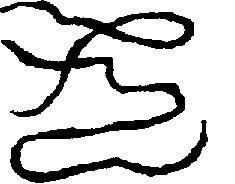 〔圖〕