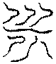 〔圖〕
