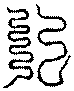 〔圖〕