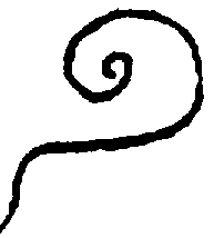 〔圖〕