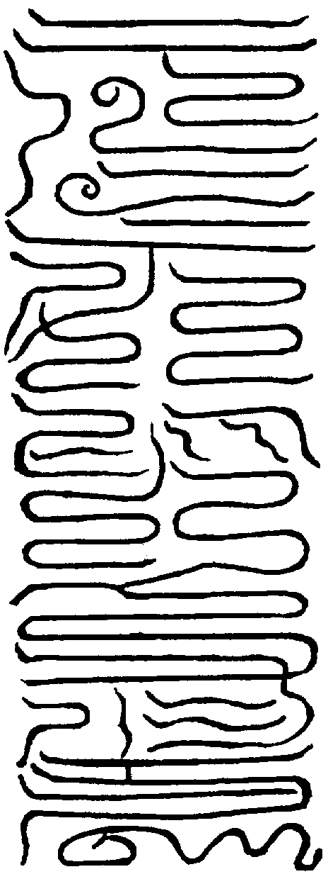 〔圖〕